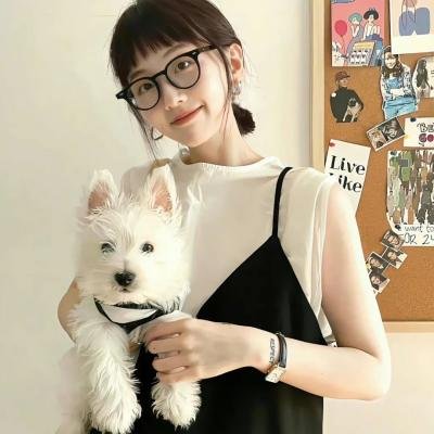 东坡